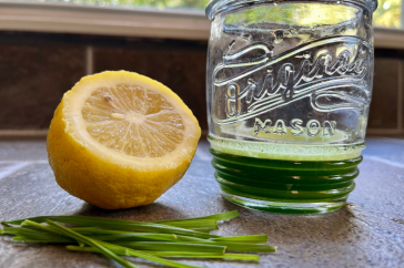 Wheatgrass shot in glass with lemon