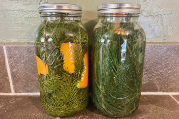 DIY pine needle cleaner in jars