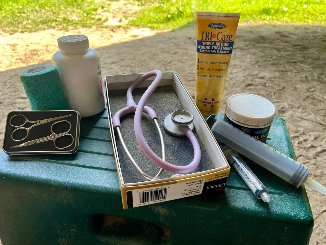 Horse first aid supplies