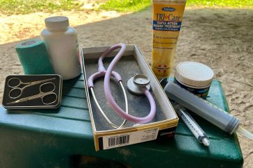 Horse first aid supplies