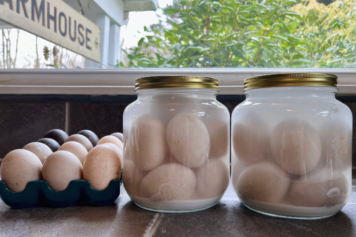 water glassed eggs in jars