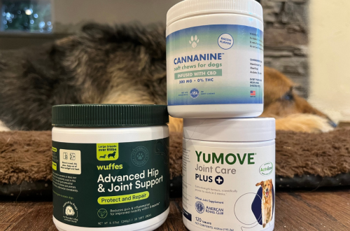 joint supplements with dog in background