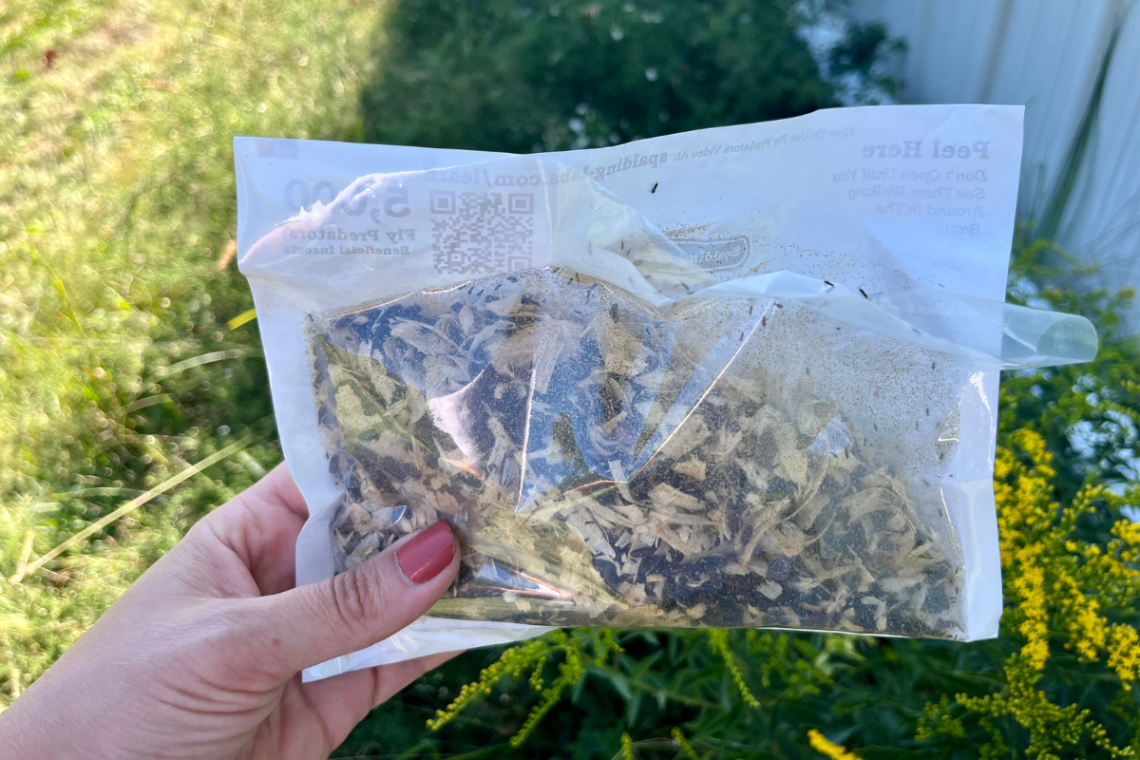 fly predators in bag