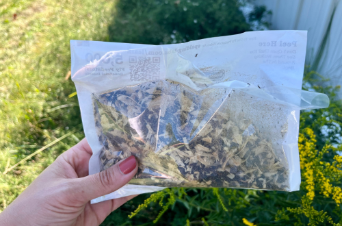 fly predators in bag