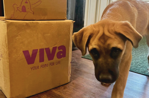 Viva Raw dog food box and puppy